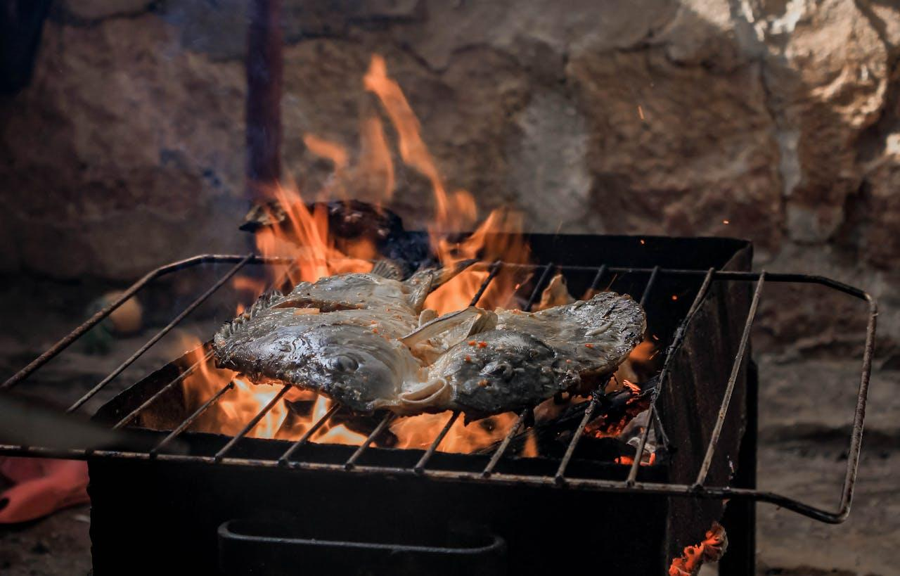 Comment choisir le bon barbecue au charbon pour vos grillades ?